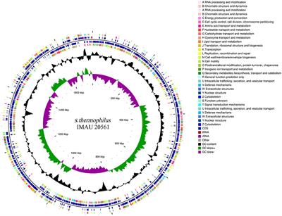 Genomic and transcriptomic analysis of genes involved in exopolysaccharide biosynthesis by Streptococcus thermophilus IMAU20561 grown on different sources of nitrogen
